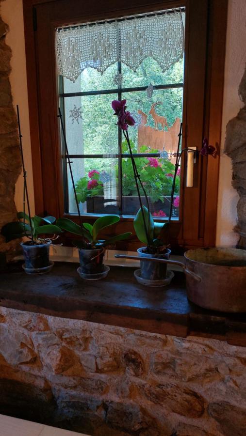 Beb Luca76 Bed & Breakfast Avise Exterior photo