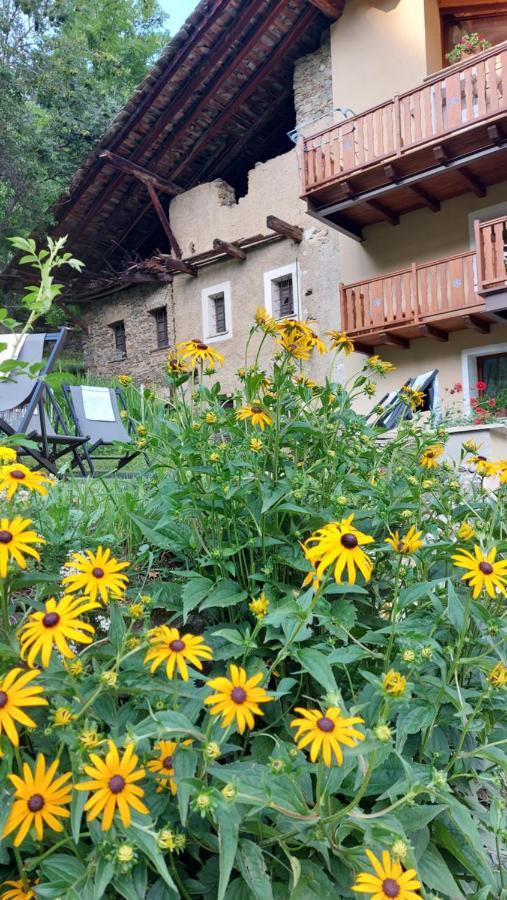 Beb Luca76 Bed & Breakfast Avise Exterior photo